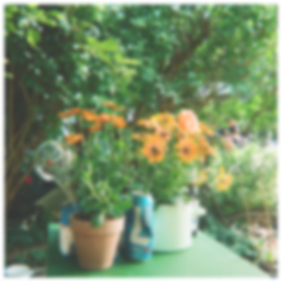 Enklawa 2026 hero left img